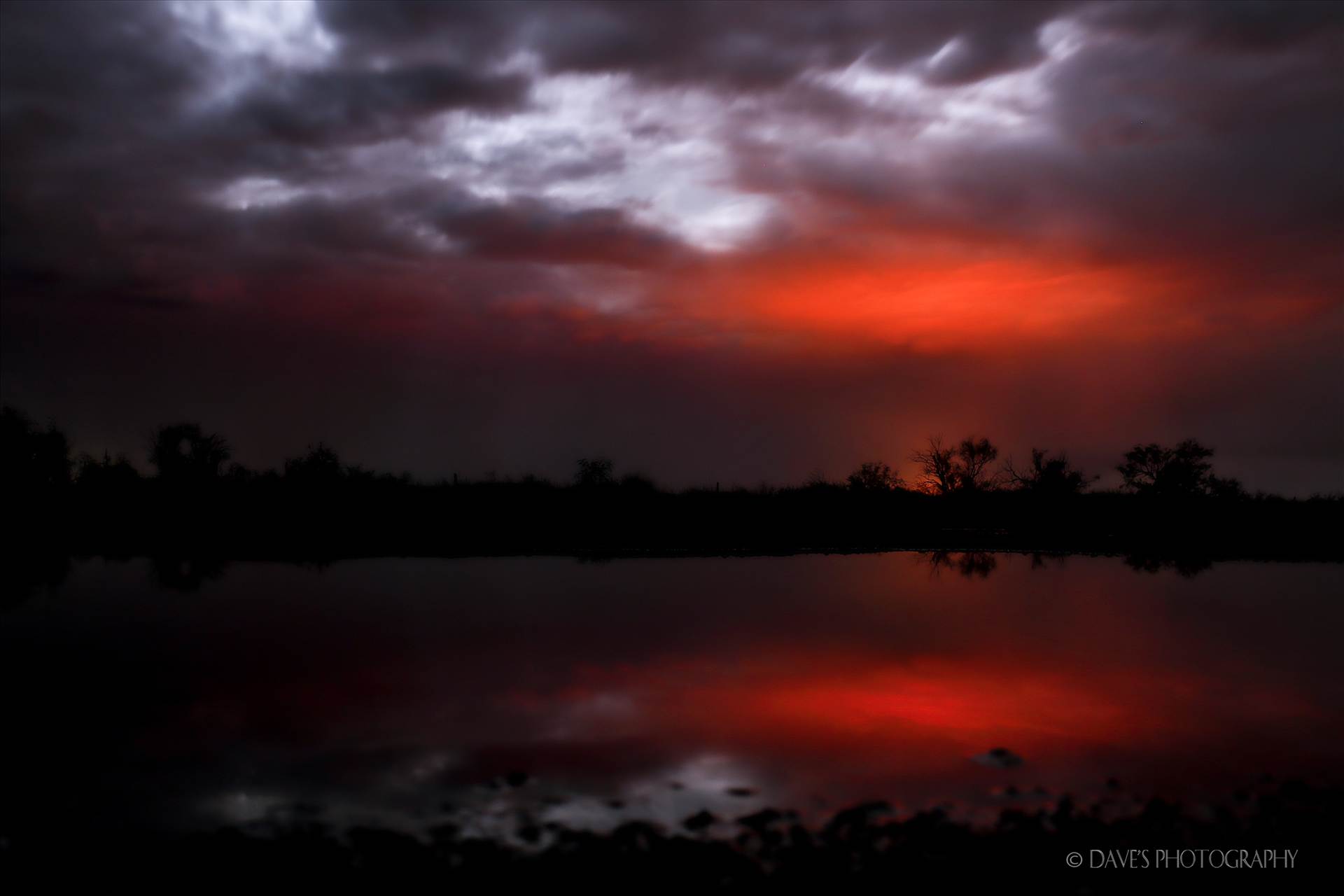 A Pond\'s Reflection -  by David Verschueren