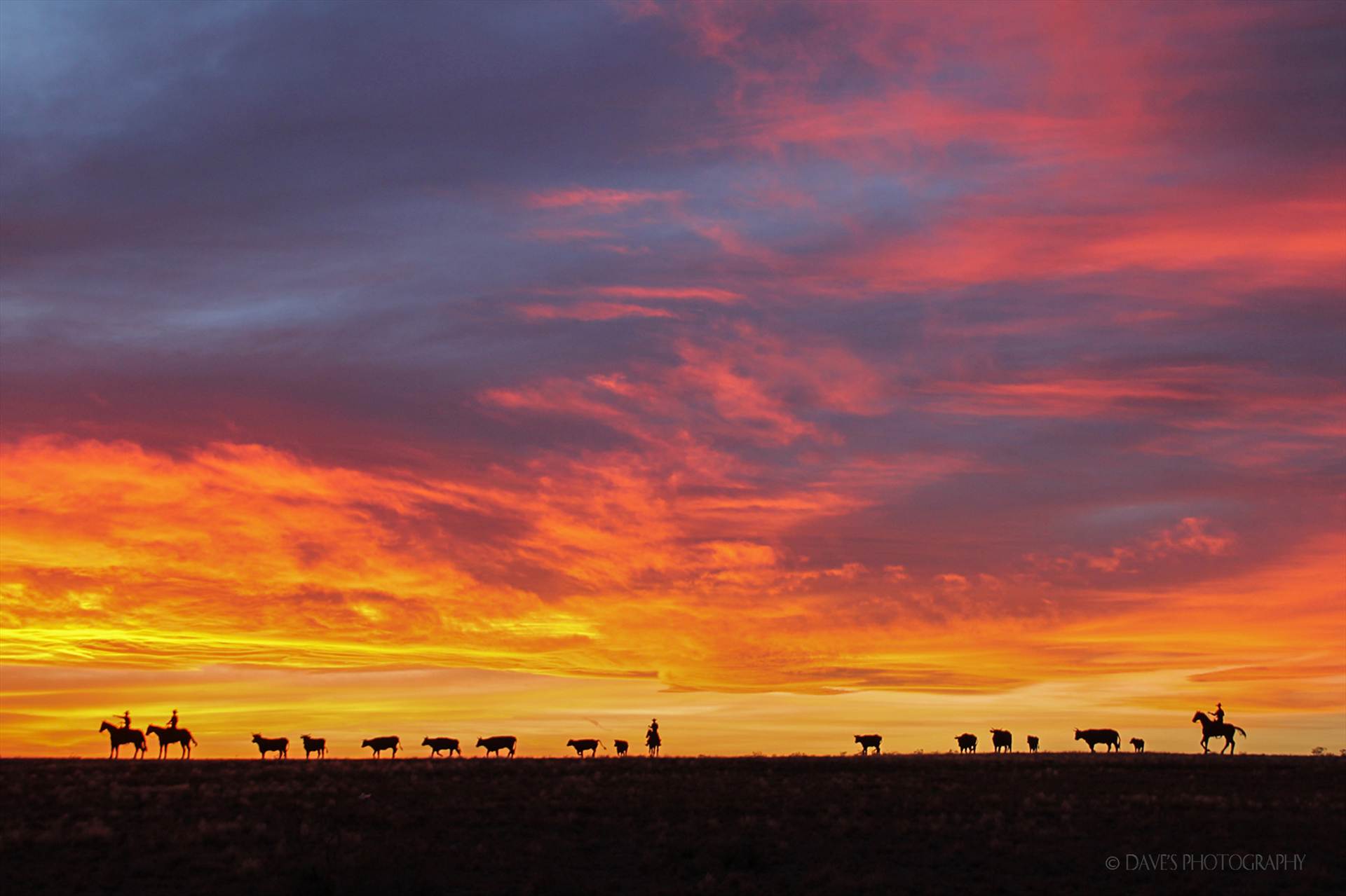 Sunset Over The Trail Ahead... - A 17 piece sculpture north of Jal, NM created by local artist Brian Norwood. by David Verschueren