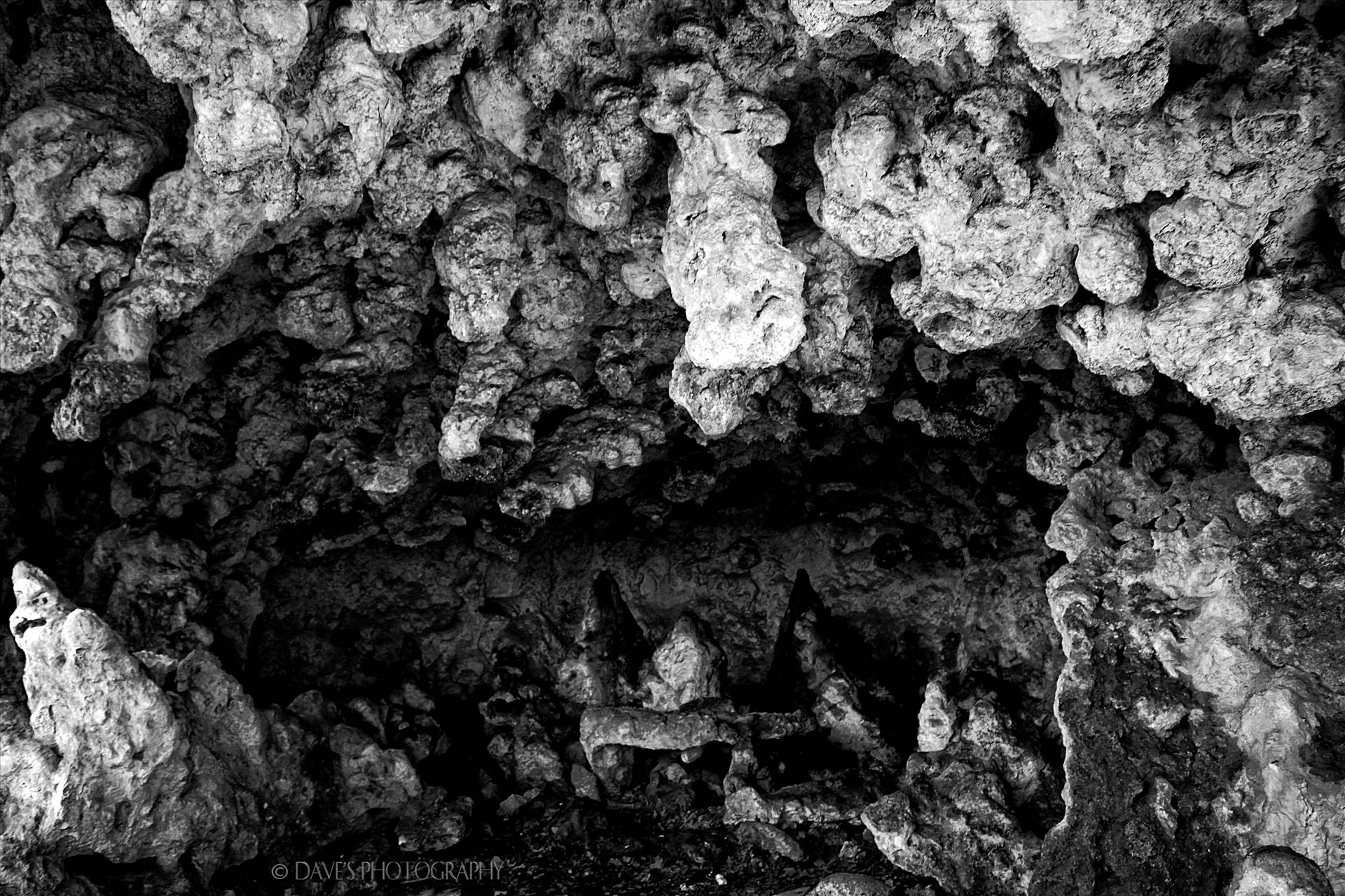 The Grotto - McKittrick Canyon -  by David Verschueren