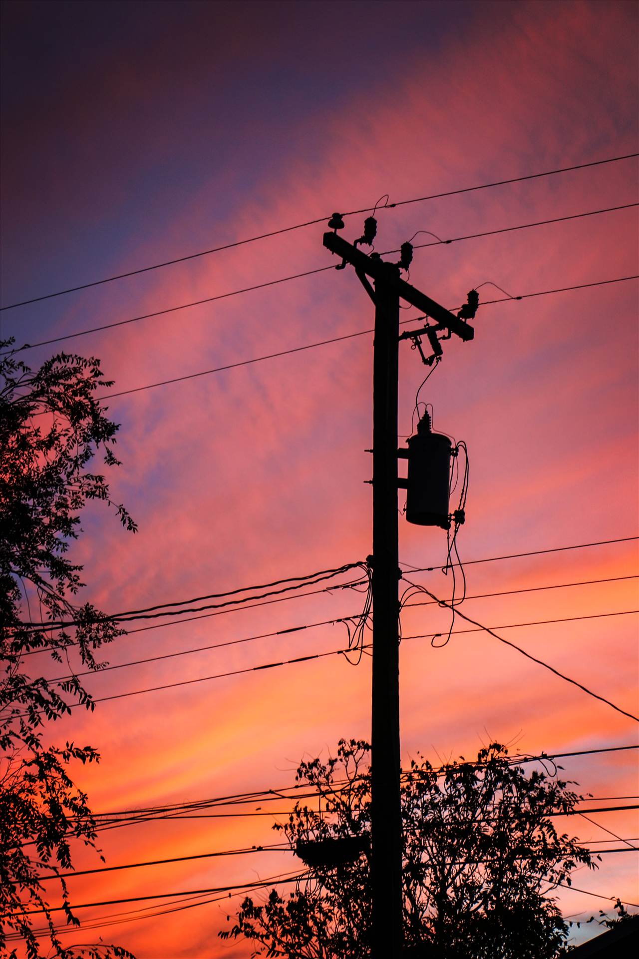 Power Line at Sunset -  by David Verschueren