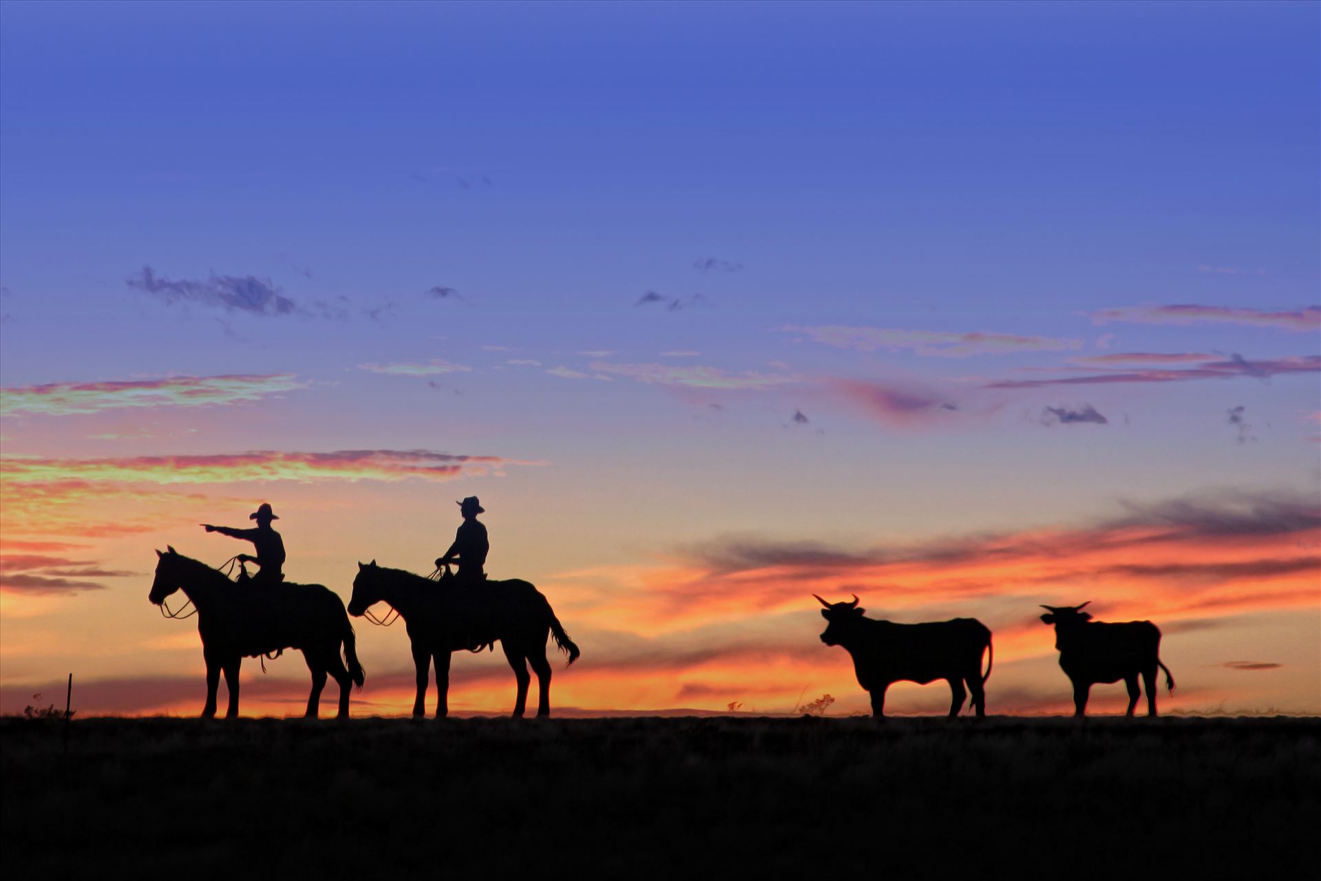 The Trail Ahead -  by David Verschueren