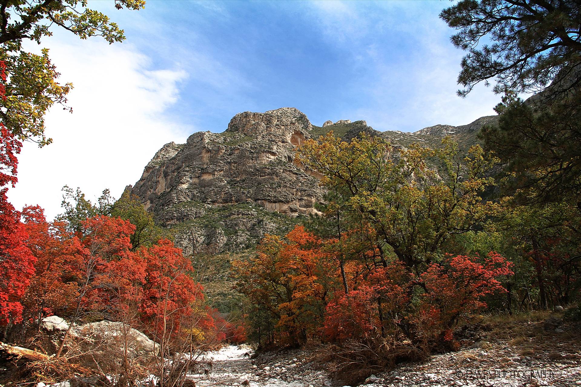 McKittrick Canyon -  by David Verschueren