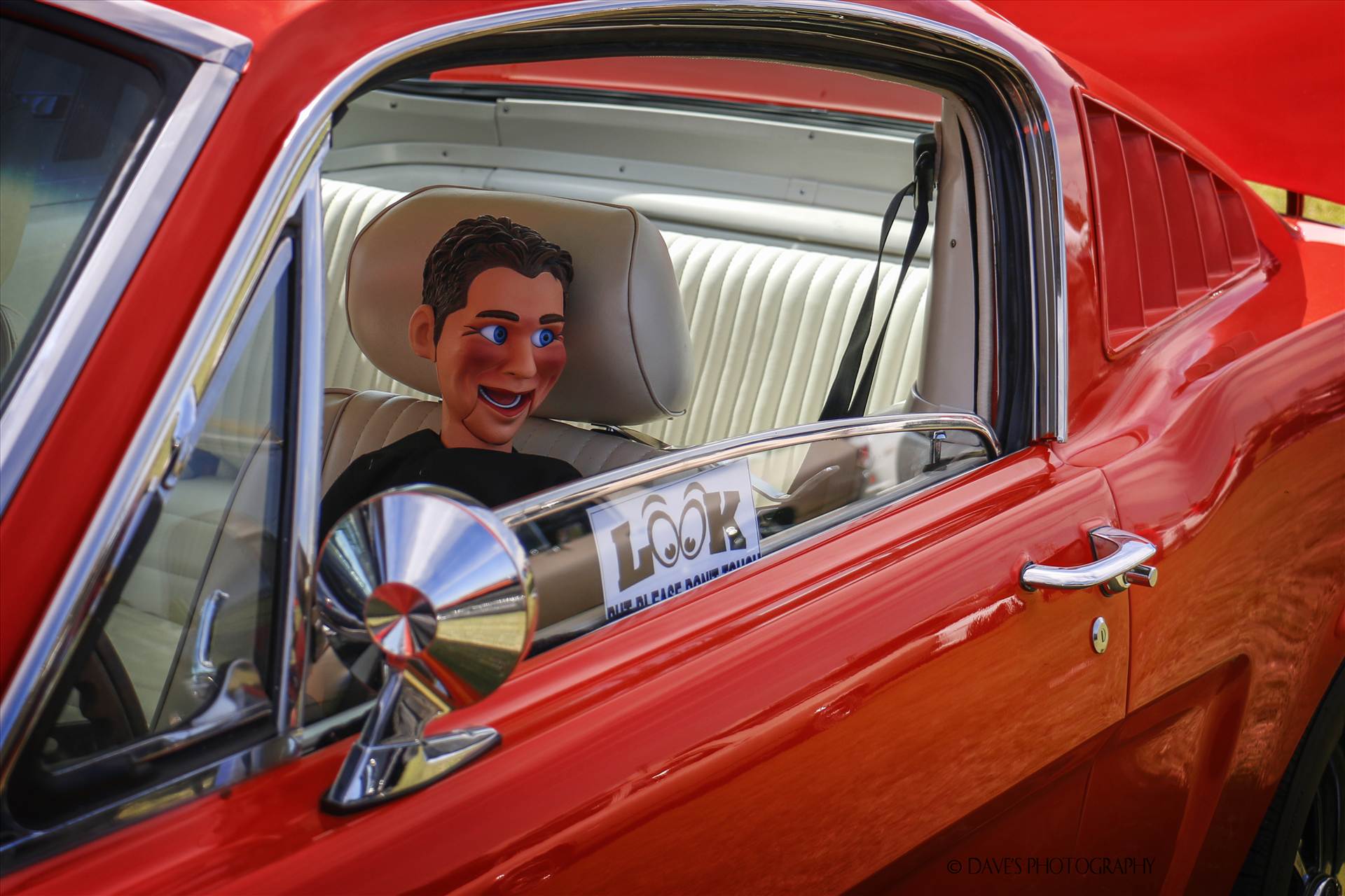 Dummy In A Mustang -  by David Verschueren