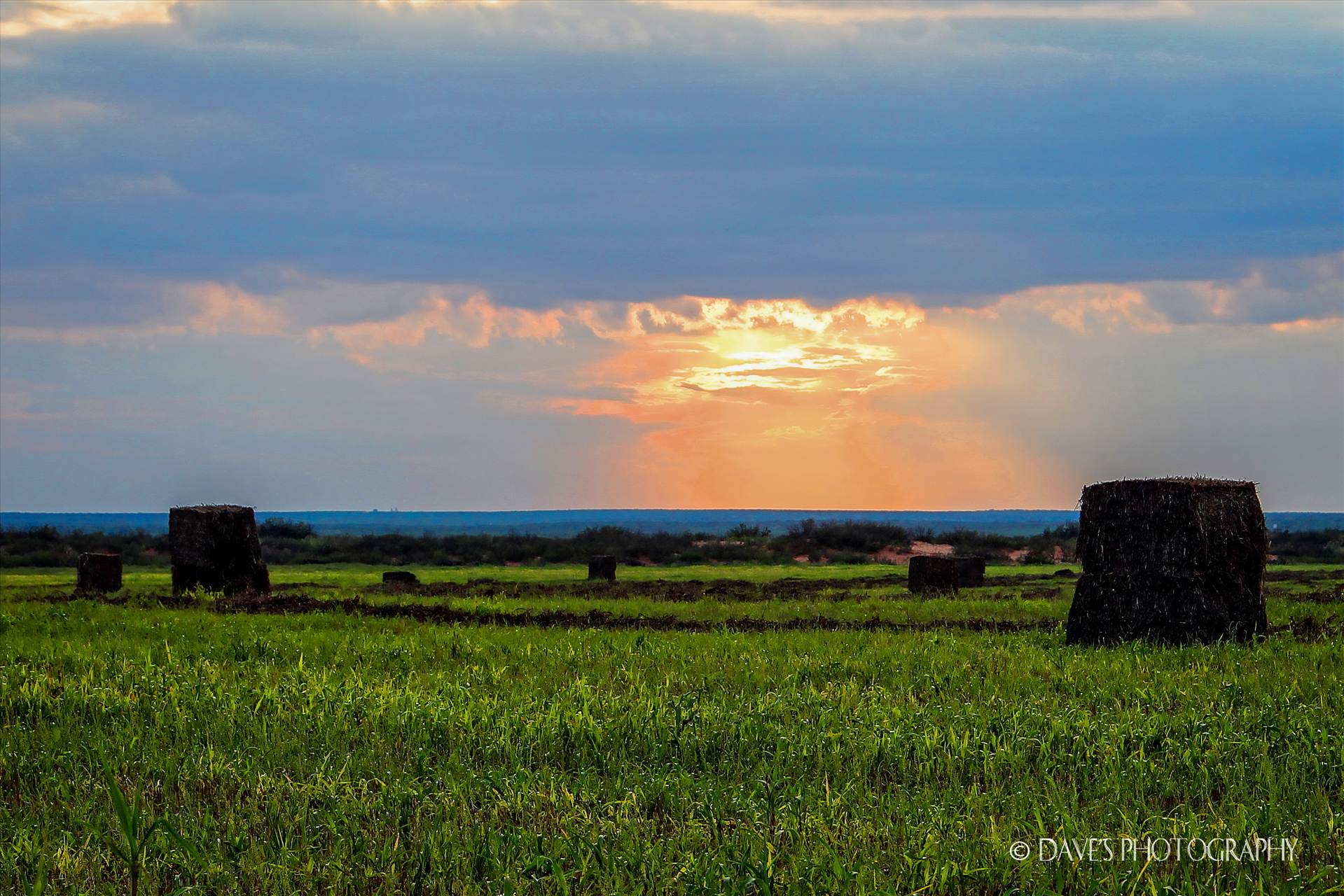 Glass Family Farm -  by David Verschueren