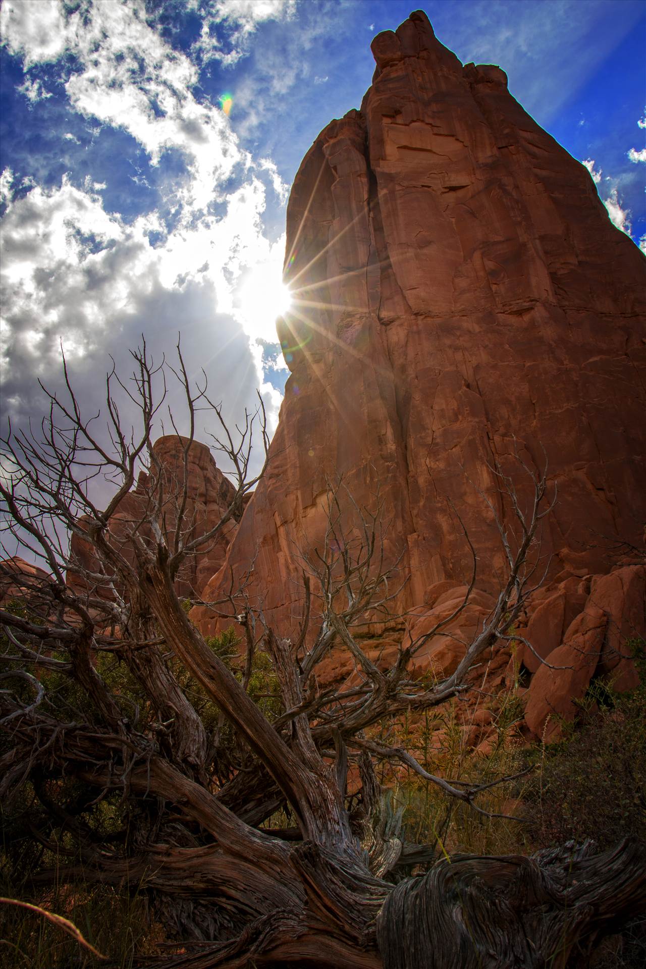 Arches National Park, Utah - July 2015 -  by David Verschueren