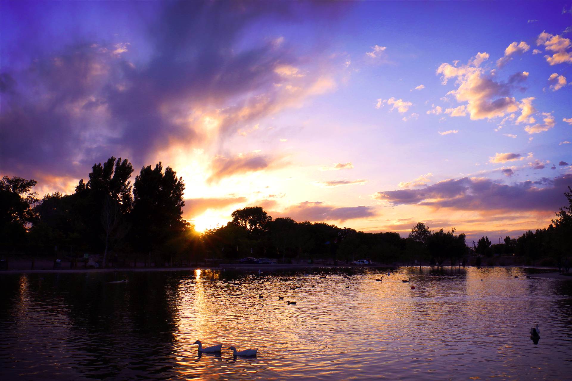 Tingley Beach -  by David Verschueren