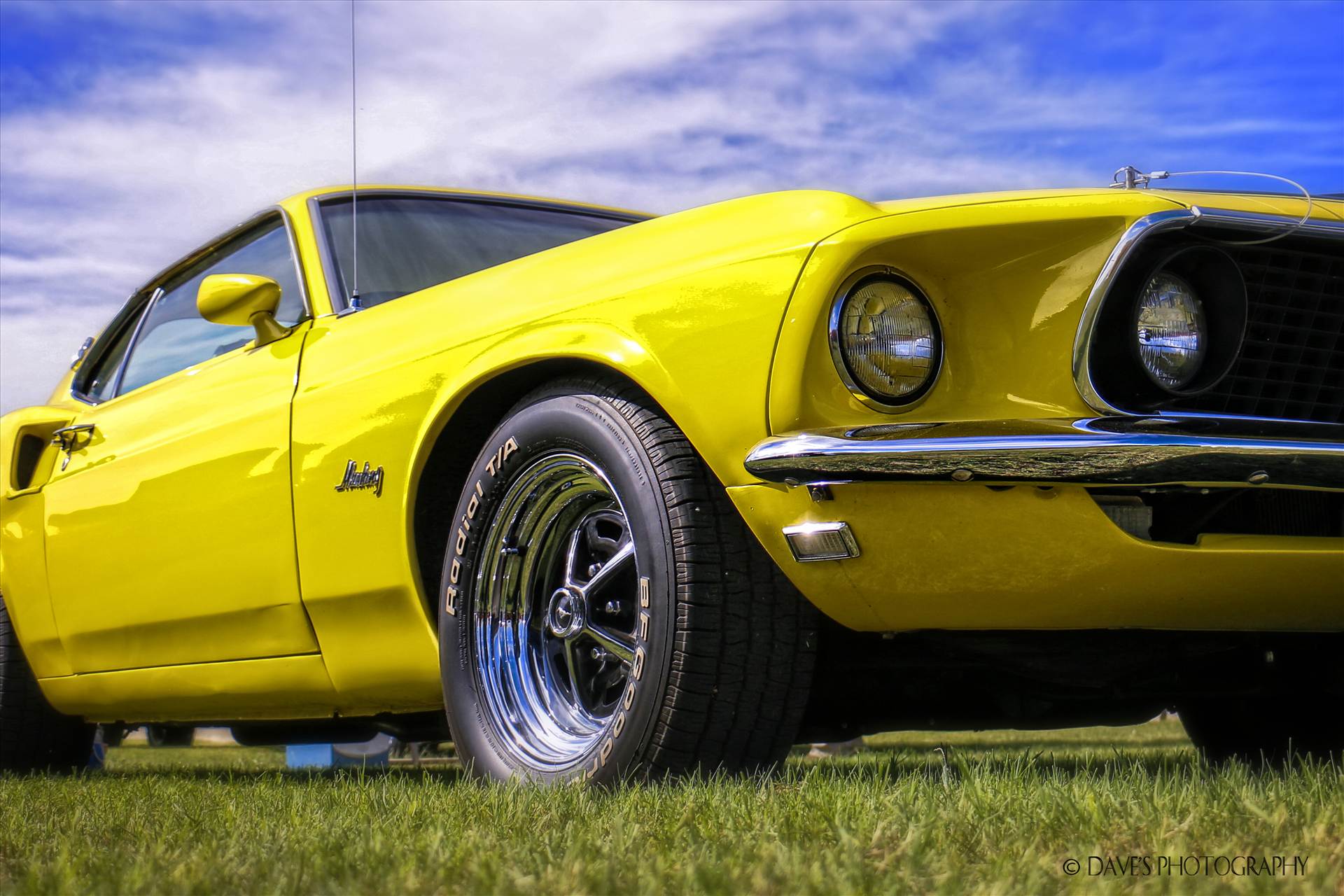 Yellow Mustang -  by David Verschueren