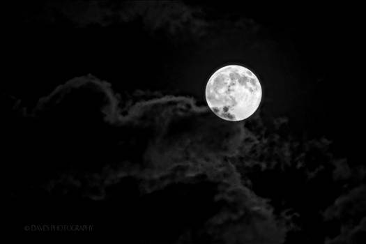 The Moon - 
