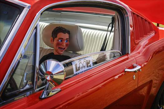 Dummy In A Mustang - 